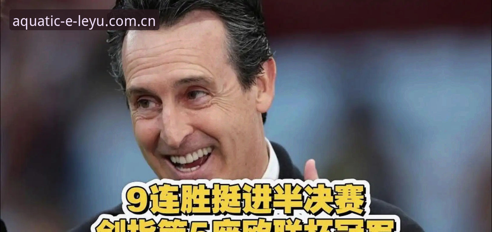 埃梅里五夺欧联杯深度复盘：乐鱼体育平台赛事数据对比评测完整指南